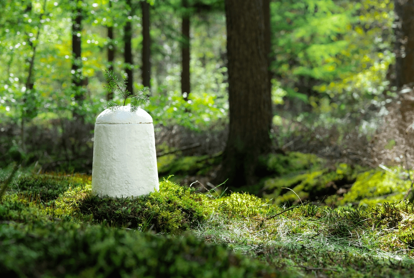 Urnengraf op een natuurbegraafplaats